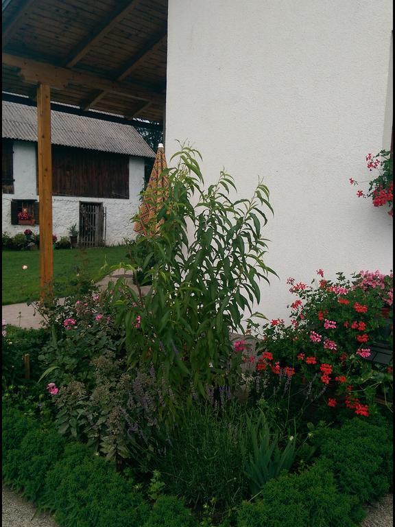 Appartamento House Nada Donji Babin Potok Esterno foto