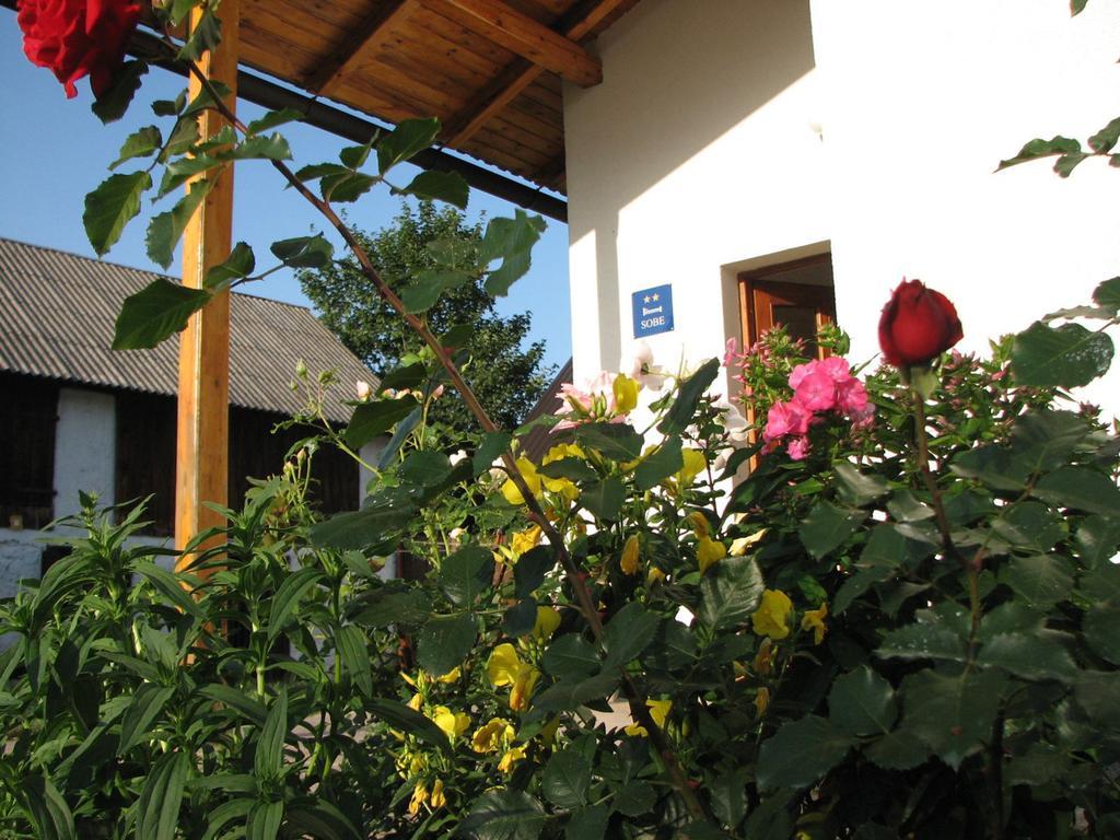 Appartamento House Nada Donji Babin Potok Esterno foto