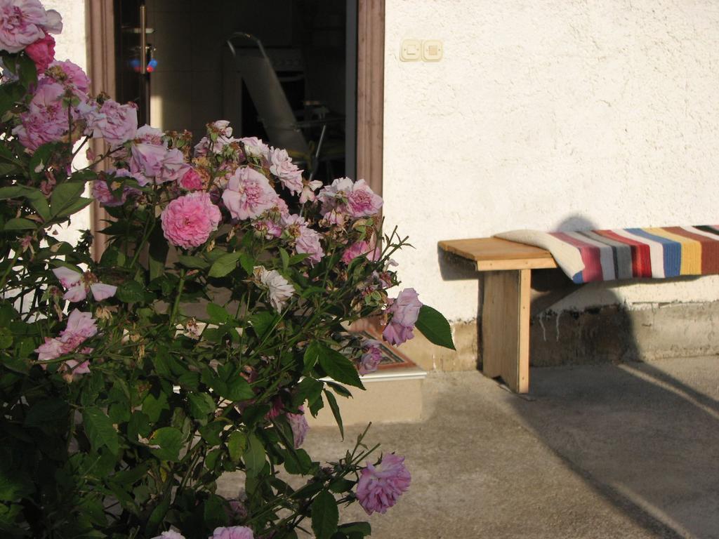 Appartamento House Nada Donji Babin Potok Esterno foto