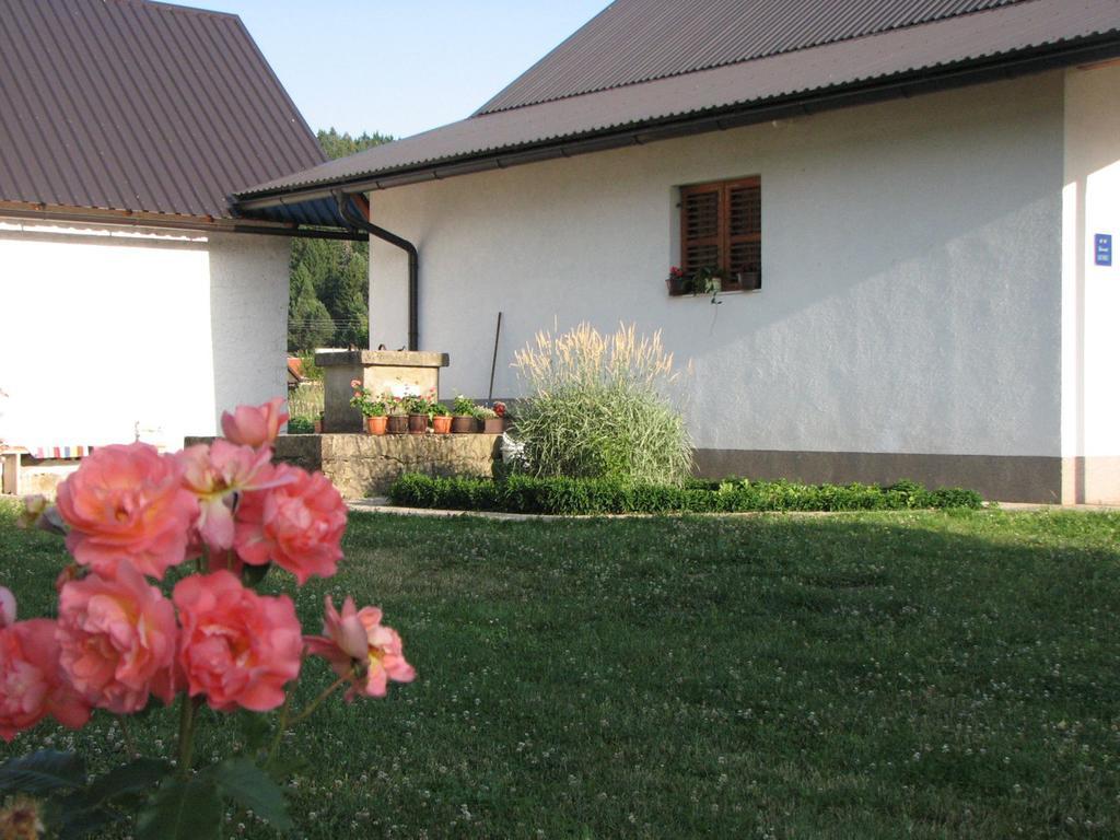 Appartamento House Nada Donji Babin Potok Esterno foto
