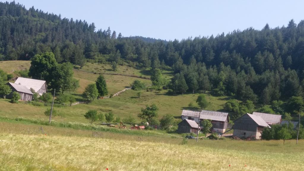 Appartamento House Nada Donji Babin Potok Esterno foto